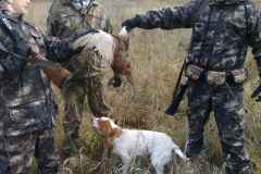 Выходные-в-Подмосковье-№243