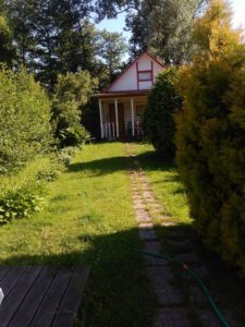 Охота на фазана в Подмосковье фото №351