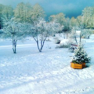 Охота на фазана в Подмосковье фото №390