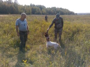 Охота на фазана в Подмосковье фото №427