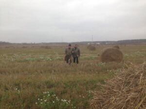 Охота на фазана в Подмосковье фото №505